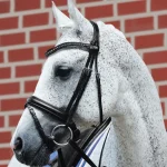 passier-fortuna-snaffle-bridle-bBotDmCH-0.webp