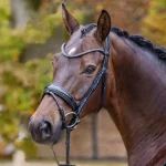 passier-shadow-bridle-WtJTIlke-0.webp
