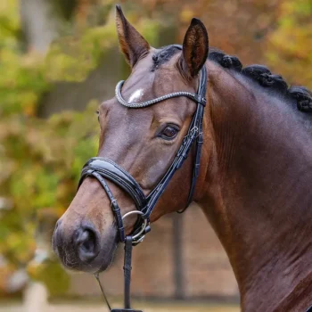 Best GEM-PASSIER Passier® Shadow Bridle Black Patent