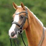 passierblu-dream-double-bridle-RoIumygg-0.webp