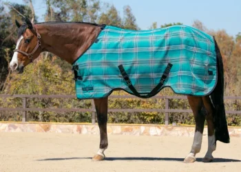 Outlet KENSINGTON ™ Pony Protective Sheet SureFit®