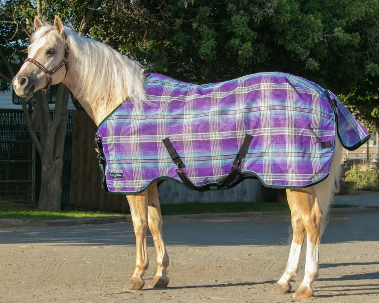 pejDOzMk_3.webp Outlet KENSINGTON ™ Pony Protective Sheet SureFit®