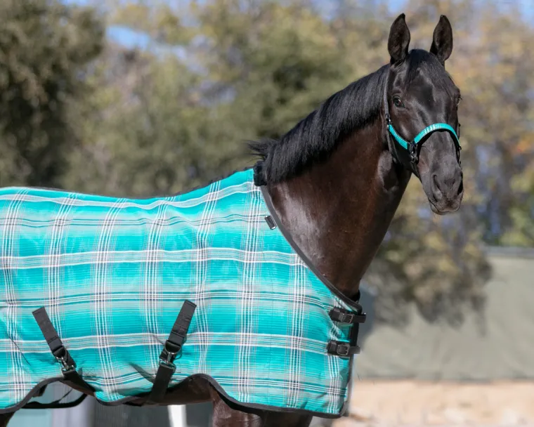 pejDOzMk_5.webp Outlet KENSINGTON ™ Pony Protective Sheet SureFit®