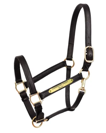 Outlet PERRIS LEATHER Perri’s® 1" Leather Turnout Halter With Nameplate