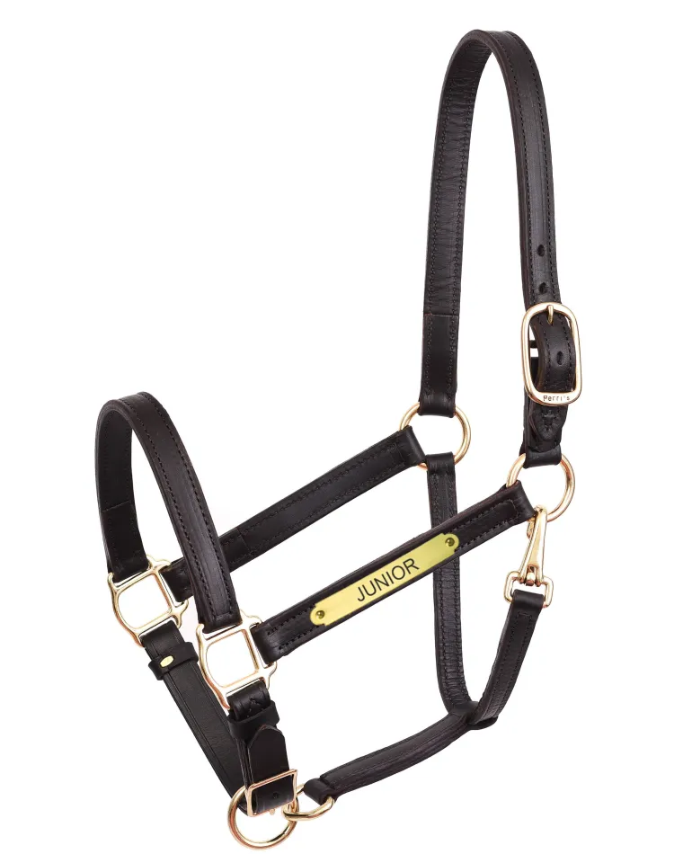 perris-1-leather-turnout-halte-ZNCJenAo-1.webp Outlet PERRIS LEATHER Perri’s® 1" Leather Turnout Halter With Nameplate