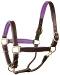 perris-1-padded-leather-halter-cicusNzb-0.webp
