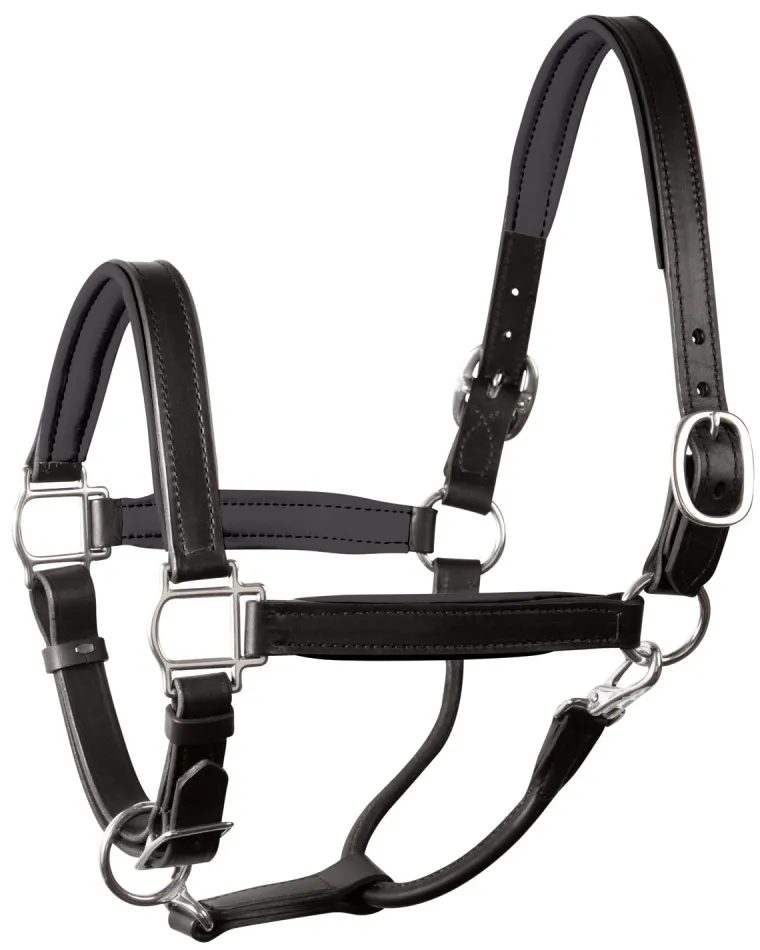 perris-1-padded-leather-halter-cicusNzb-10.webp Fashion PERRIS LEATHER Perri’s® 1" Padded Leather Halter