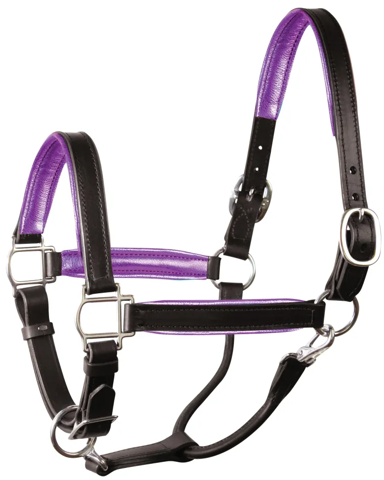 perris-1-padded-leather-halter-cicusNzb-11.webp Fashion PERRIS LEATHER Perri’s® 1" Padded Leather Halter