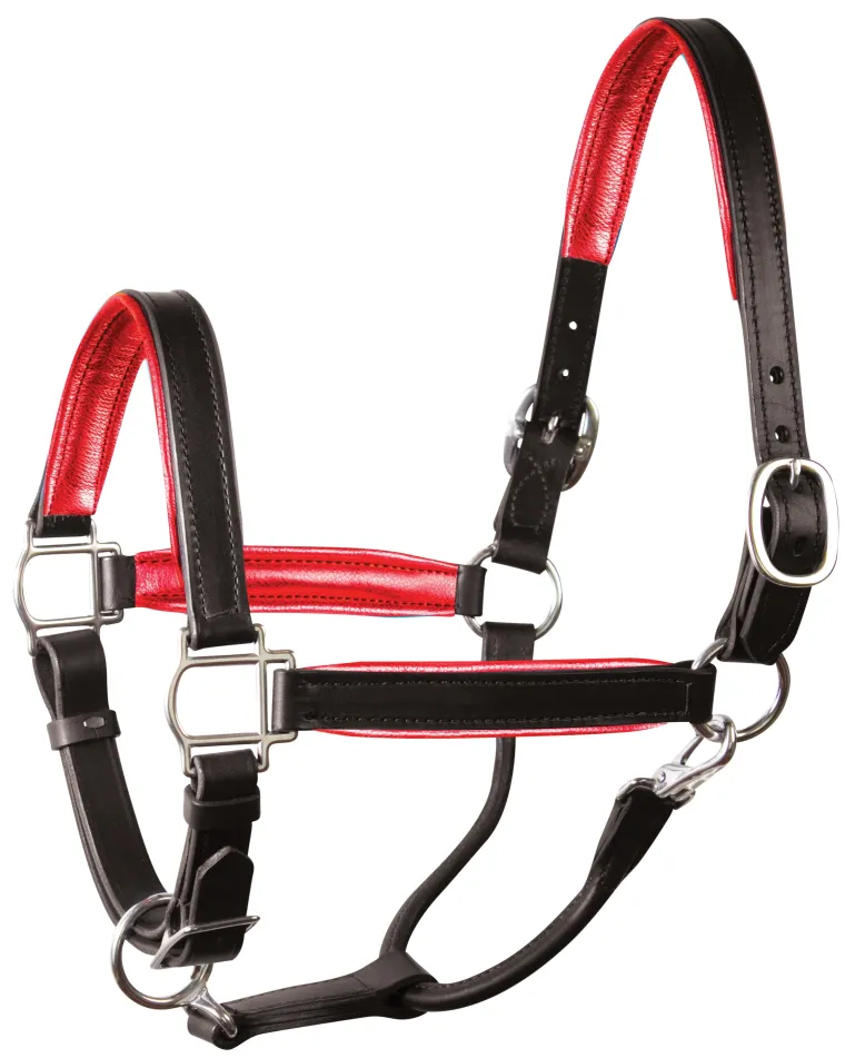 perris-1-padded-leather-halter-cicusNzb-13.webp Fashion PERRIS LEATHER Perri’s® 1" Padded Leather Halter