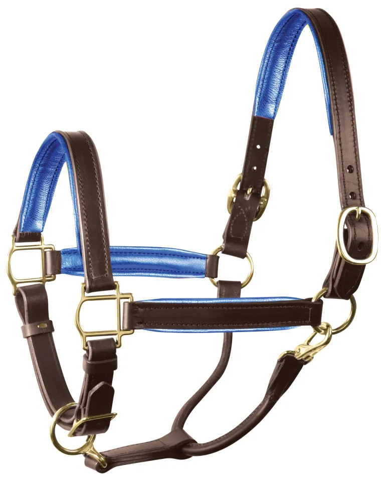 perris-1-padded-leather-halter-cicusNzb-14.webp Fashion PERRIS LEATHER Perri’s® 1" Padded Leather Halter