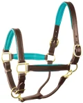 perris-1-padded-leather-halter-cicusNzb-0.webp