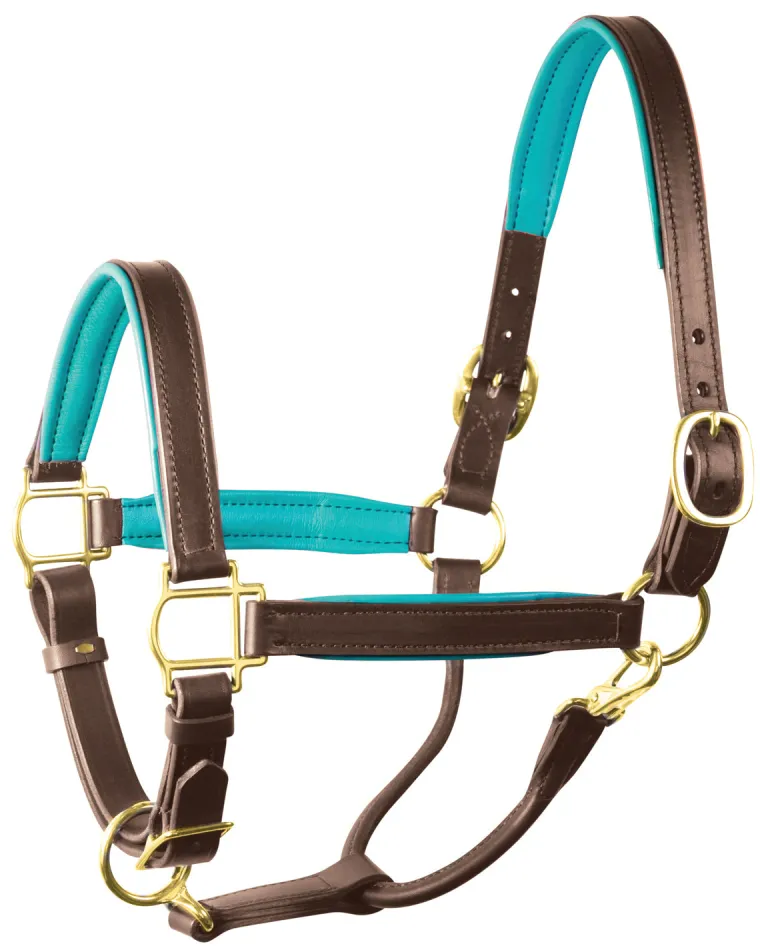perris-1-padded-leather-halter-cicusNzb-15.webp Fashion PERRIS LEATHER Perri’s® 1" Padded Leather Halter