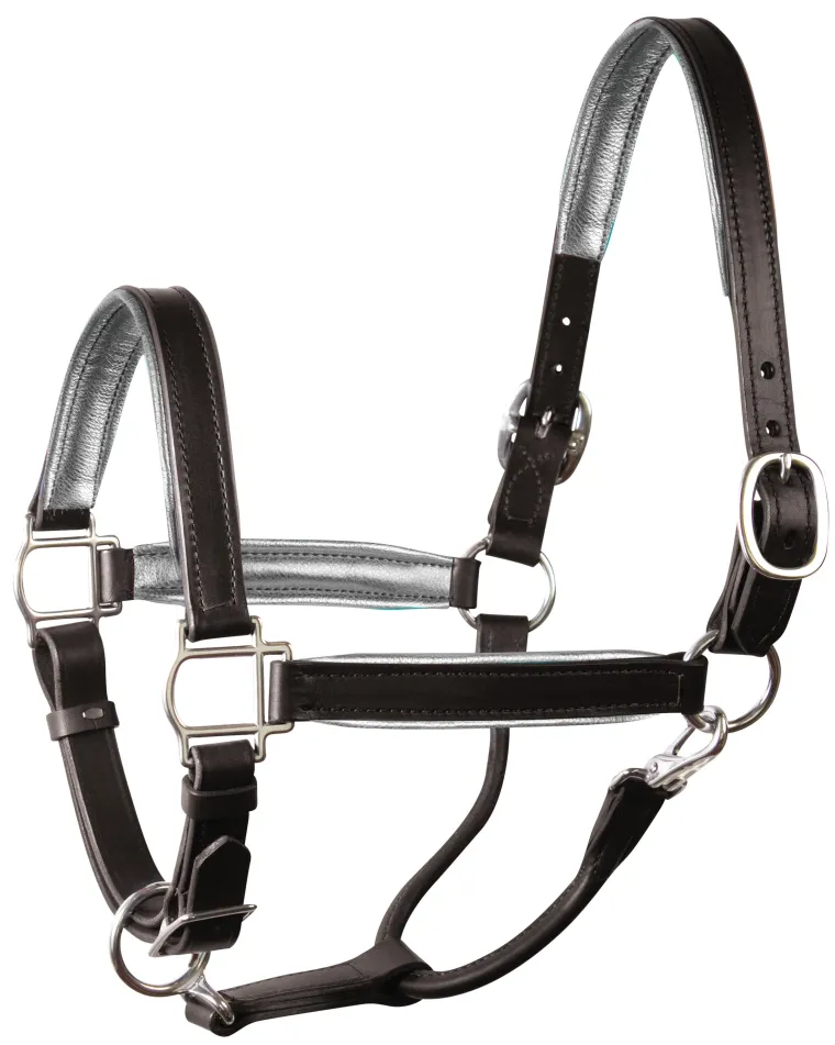 perris-1-padded-leather-halter-cicusNzb-17.webp Fashion PERRIS LEATHER Perri’s® 1" Padded Leather Halter