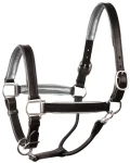 perris-1-padded-leather-halter-cicusNzb-0.webp