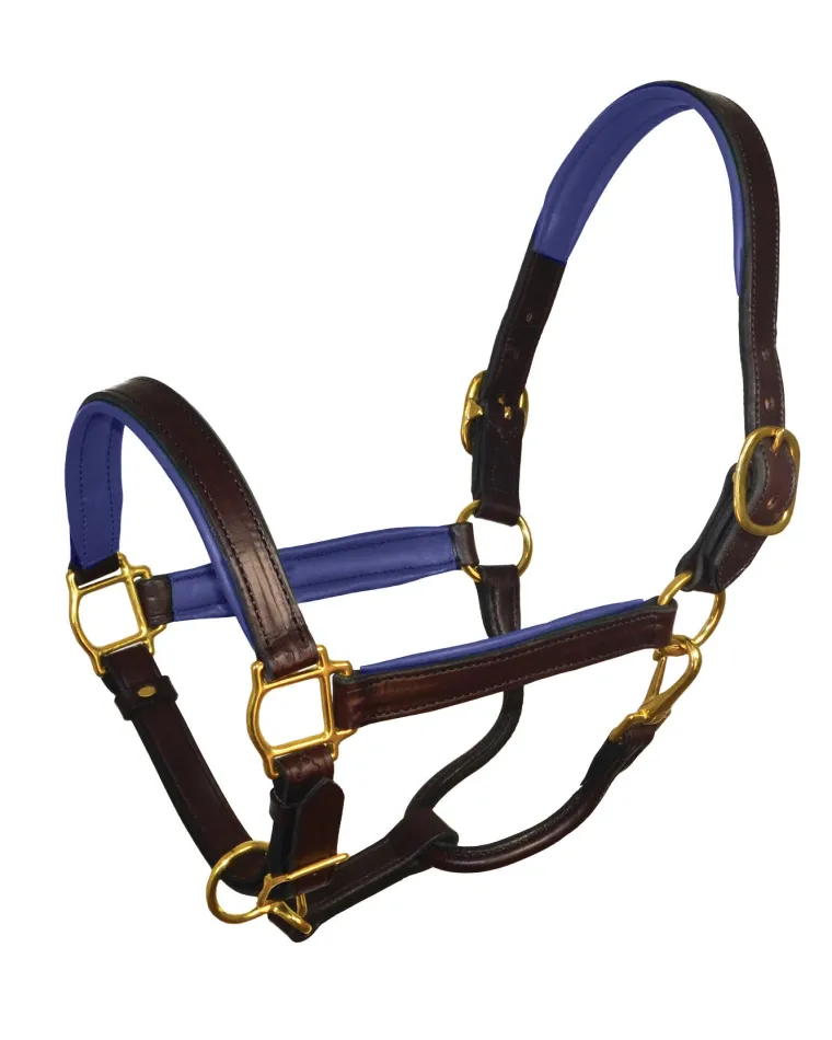 perris-1-padded-leather-halter-cicusNzb-2.webp Fashion PERRIS LEATHER Perri’s® 1" Padded Leather Halter