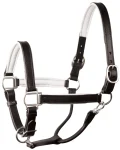 perris-1-padded-leather-halter-cicusNzb-0.webp