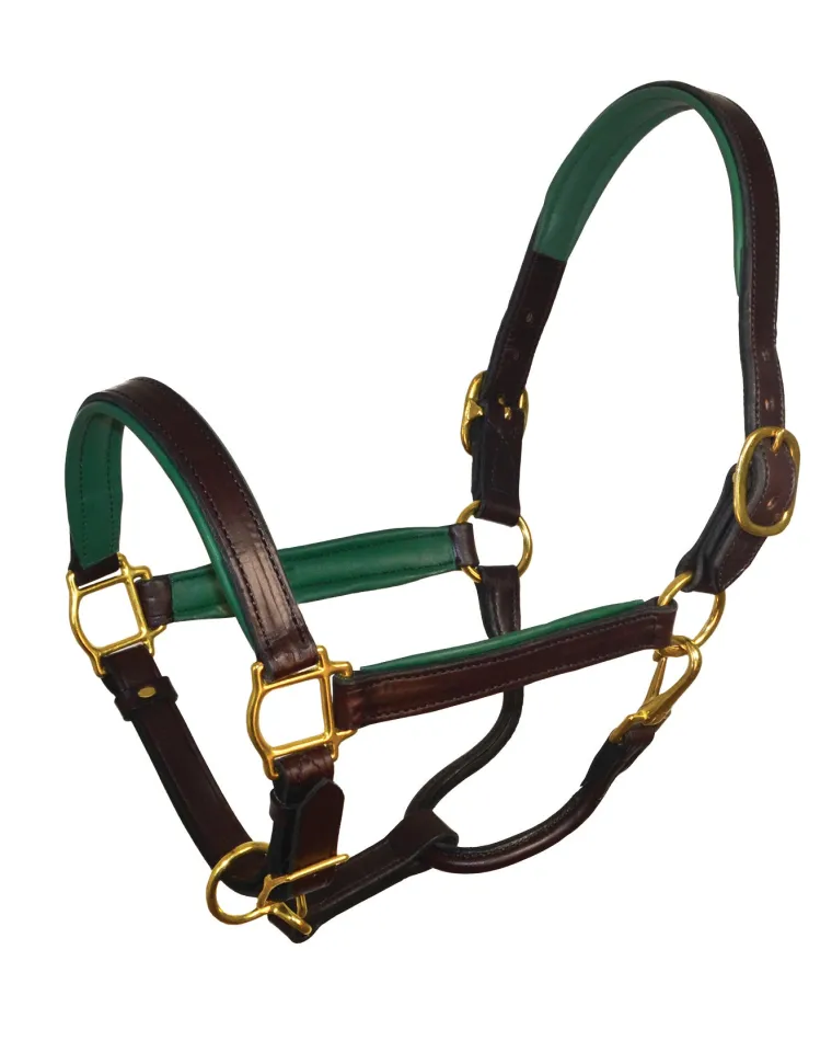 perris-1-padded-leather-halter-cicusNzb-26.webp Fashion PERRIS LEATHER Perri’s® 1" Padded Leather Halter