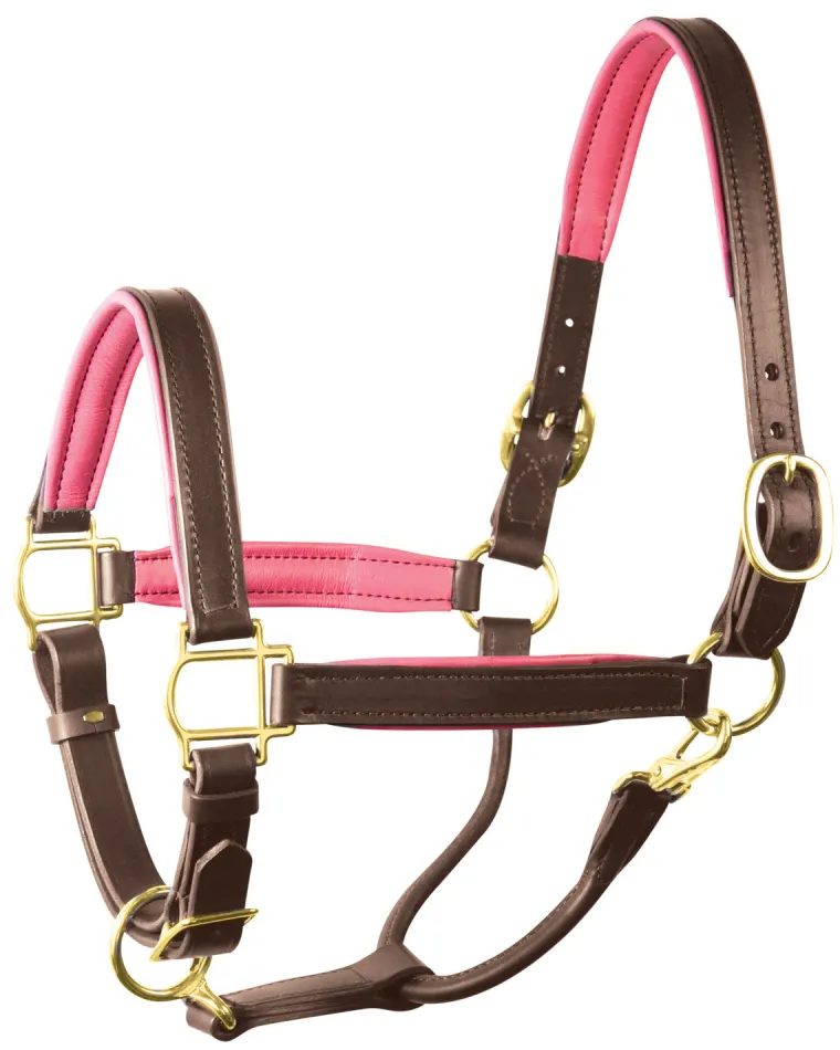 perris-1-padded-leather-halter-cicusNzb-27.webp Fashion PERRIS LEATHER Perri’s® 1" Padded Leather Halter