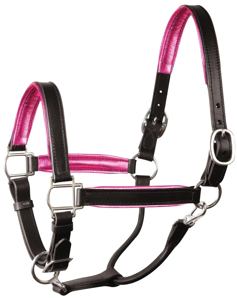 perris-1-padded-leather-halter-cicusNzb-3.webp Fashion PERRIS LEATHER Perri’s® 1" Padded Leather Halter