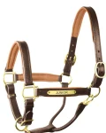 perris-1-padded-leather-halter-cicusNzb-0.webp