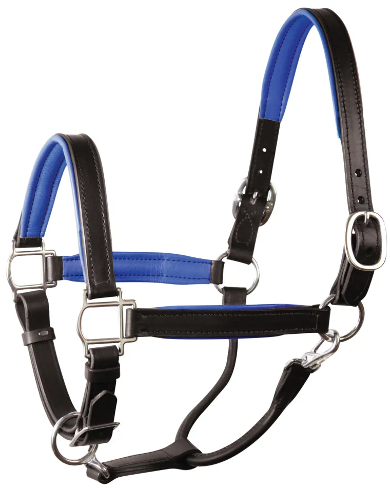 perris-1-padded-leather-halter-cicusNzb-5.webp Fashion PERRIS LEATHER Perri’s® 1" Padded Leather Halter