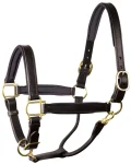 perris-1-padded-leather-halter-cicusNzb-0.webp