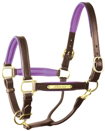 Discount PERRIS LEATHER Perri’s® 1" Padded Leather Halter With Nameplate