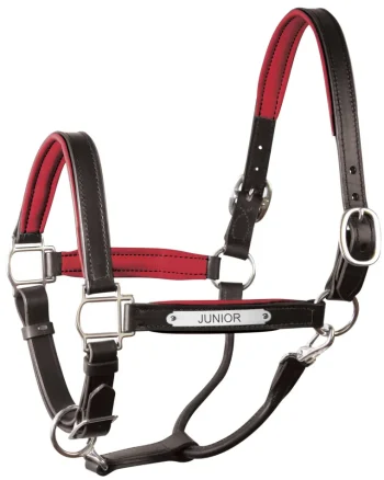 Discount PERRIS LEATHER Perri’s® 1" Padded Leather Halter With Nameplate