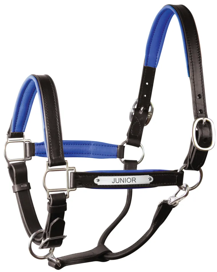 perris-1-padded-leather-halter-fwWWkrqt-11.webp Discount PERRIS LEATHER Perri’s® 1" Padded Leather Halter With Nameplate