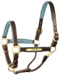perris-1-padded-leather-halter-fwWWkrqt-0.webp