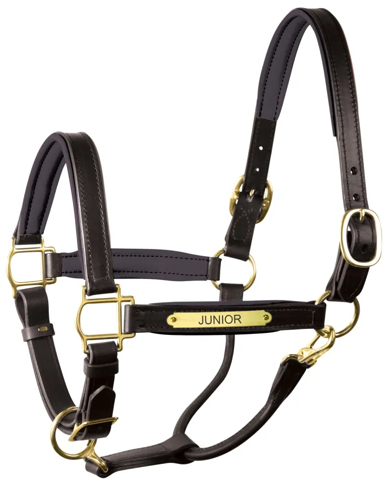 perris-1-padded-leather-halter-fwWWkrqt-15.webp Discount PERRIS LEATHER Perri’s® 1" Padded Leather Halter With Nameplate