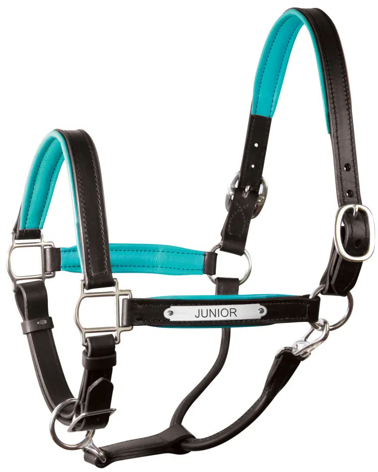 perris-1-padded-leather-halter-fwWWkrqt-16.webp Discount PERRIS LEATHER Perri’s® 1" Padded Leather Halter With Nameplate
