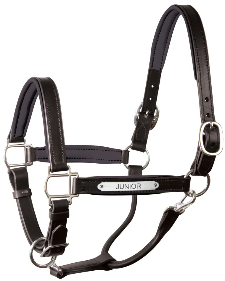 perris-1-padded-leather-halter-fwWWkrqt-17.webp Discount PERRIS LEATHER Perri’s® 1" Padded Leather Halter With Nameplate
