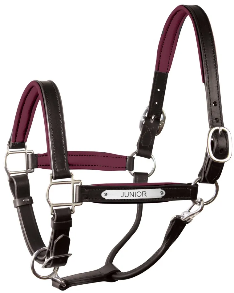 perris-1-padded-leather-halter-fwWWkrqt-18.webp Discount PERRIS LEATHER Perri’s® 1" Padded Leather Halter With Nameplate