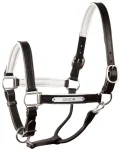 perris-1-padded-leather-halter-fwWWkrqt-0.webp