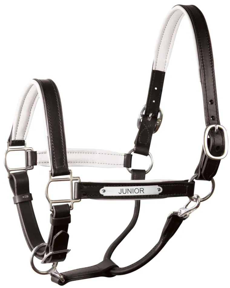 perris-1-padded-leather-halter-fwWWkrqt-2.webp Discount PERRIS LEATHER Perri’s® 1" Padded Leather Halter With Nameplate