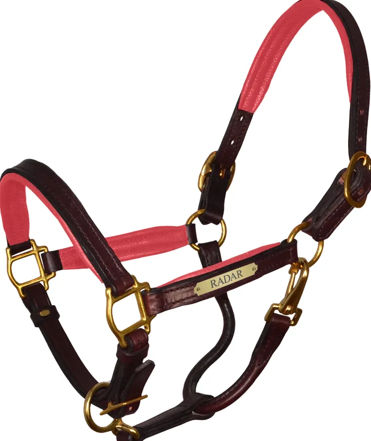 perris-1-padded-leather-halter-fwWWkrqt-5.webp Discount PERRIS LEATHER Perri’s® 1" Padded Leather Halter With Nameplate