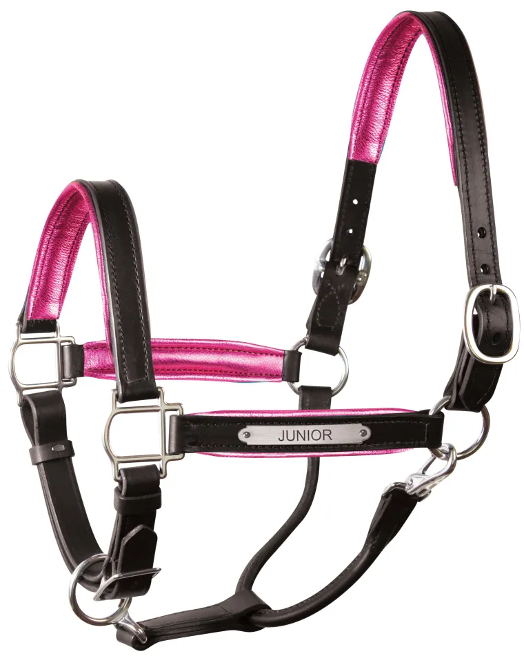 perris-1-padded-leather-halter-fwWWkrqt-6.webp Discount PERRIS LEATHER Perri’s® 1" Padded Leather Halter With Nameplate