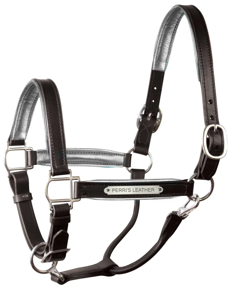 perris-1-padded-leather-halter-fwWWkrqt-7.webp Discount PERRIS LEATHER Perri’s® 1" Padded Leather Halter With Nameplate