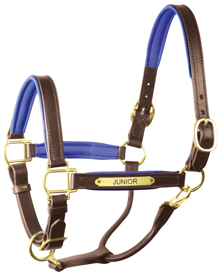 perris-1-padded-leather-halter-fwWWkrqt-8.webp Discount PERRIS LEATHER Perri’s® 1" Padded Leather Halter With Nameplate