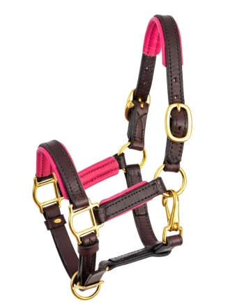 Sale PERRIS LEATHER Perri’s® 3/4" Padded Leather Mini Halter