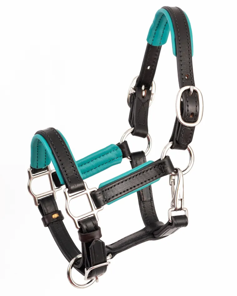 perris-34-padded-leather-mini-niMRlivH-1.webp Sale PERRIS LEATHER Perri’s® 3/4" Padded Leather Mini Halter
