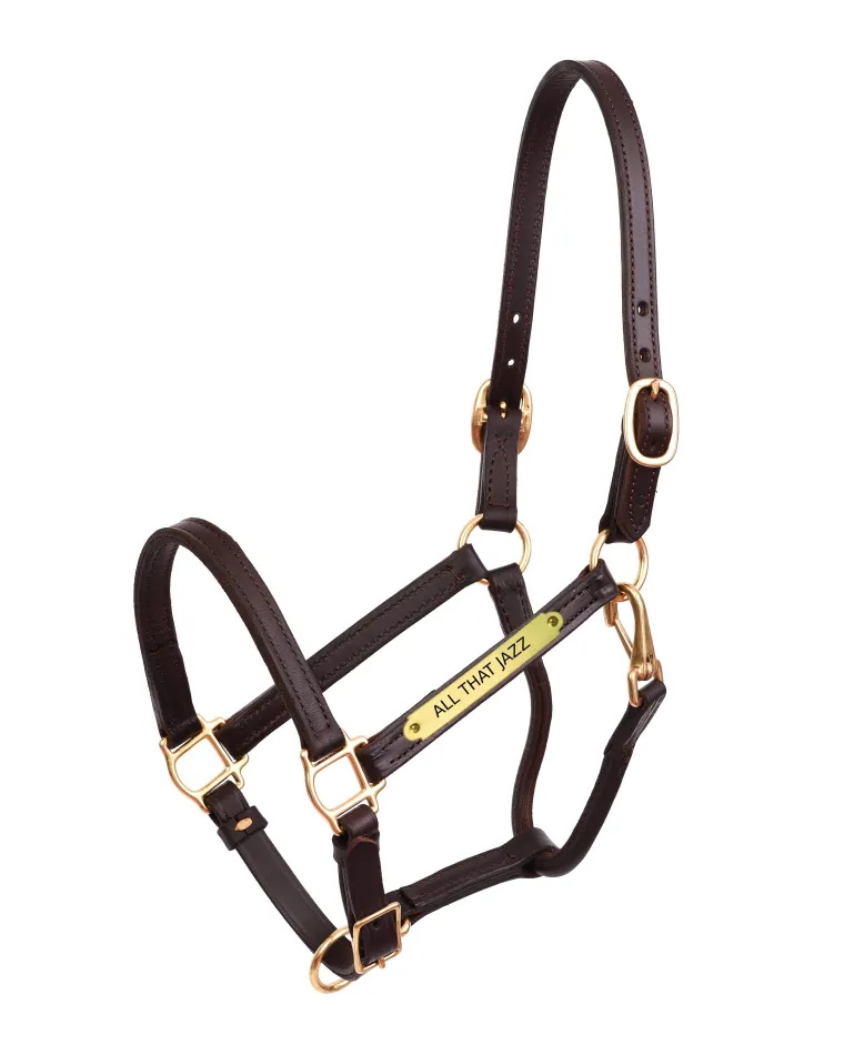 perris-34-premium-leather-show-zXJhWWZB-0.webp Discount PERRIS LEATHER Perri’s® 3/4" Premium Leather Show Halter With Nameplate
