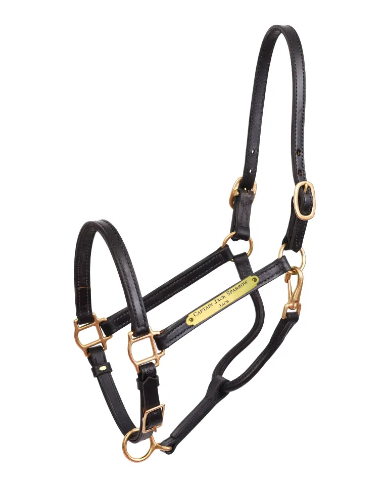 perris-34-premium-leather-show-zXJhWWZB-1.webp Discount PERRIS LEATHER Perri’s® 3/4" Premium Leather Show Halter With Nameplate