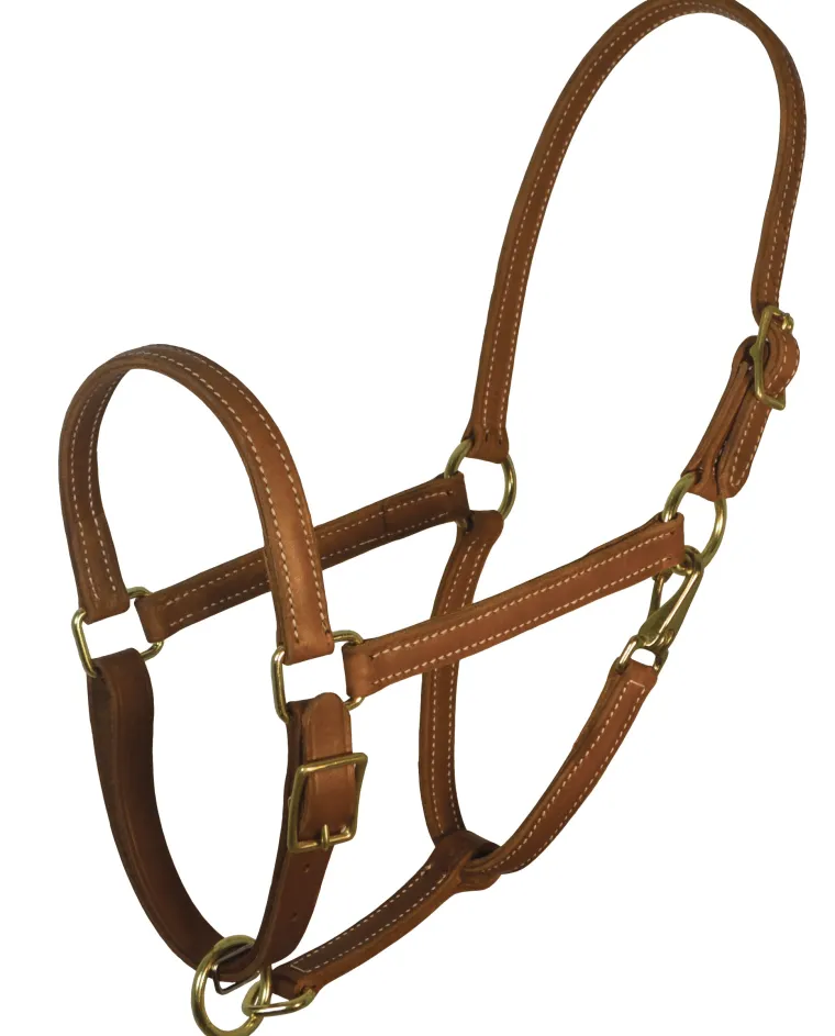 perris-78-value-work-halter-arveXAEP-0.webp Hot PERRIS LEATHER Perri’s® 7/8" Value Work Halter Chestnut