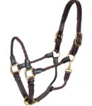 perris-braided-leather-halter-grFyjyUz-0.webp