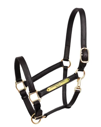 Best PERRIS LEATHER Perri’s® Draft Leather Turnout Halter
