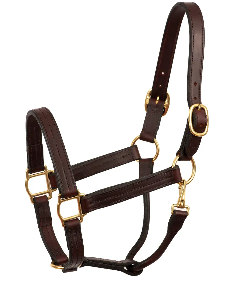 perris-heavy-duty-track-halter-PdrfEfIN-0.webp Discount PERRIS LEATHER Perri’s® Heavy-Duty Track Halter With Snap Havana