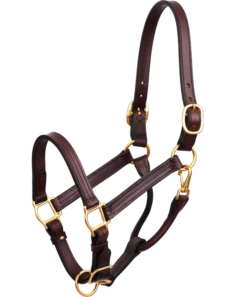 perris-horse-professional-show-HOTVsOZH-1.webp Clearance PERRIS LEATHER Perri’s® Horse Professional Show Halter