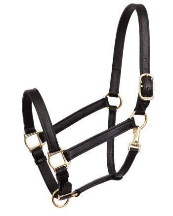 Best PERRIS LEATHER Perri’s® Leather Turnout Draft Halter
